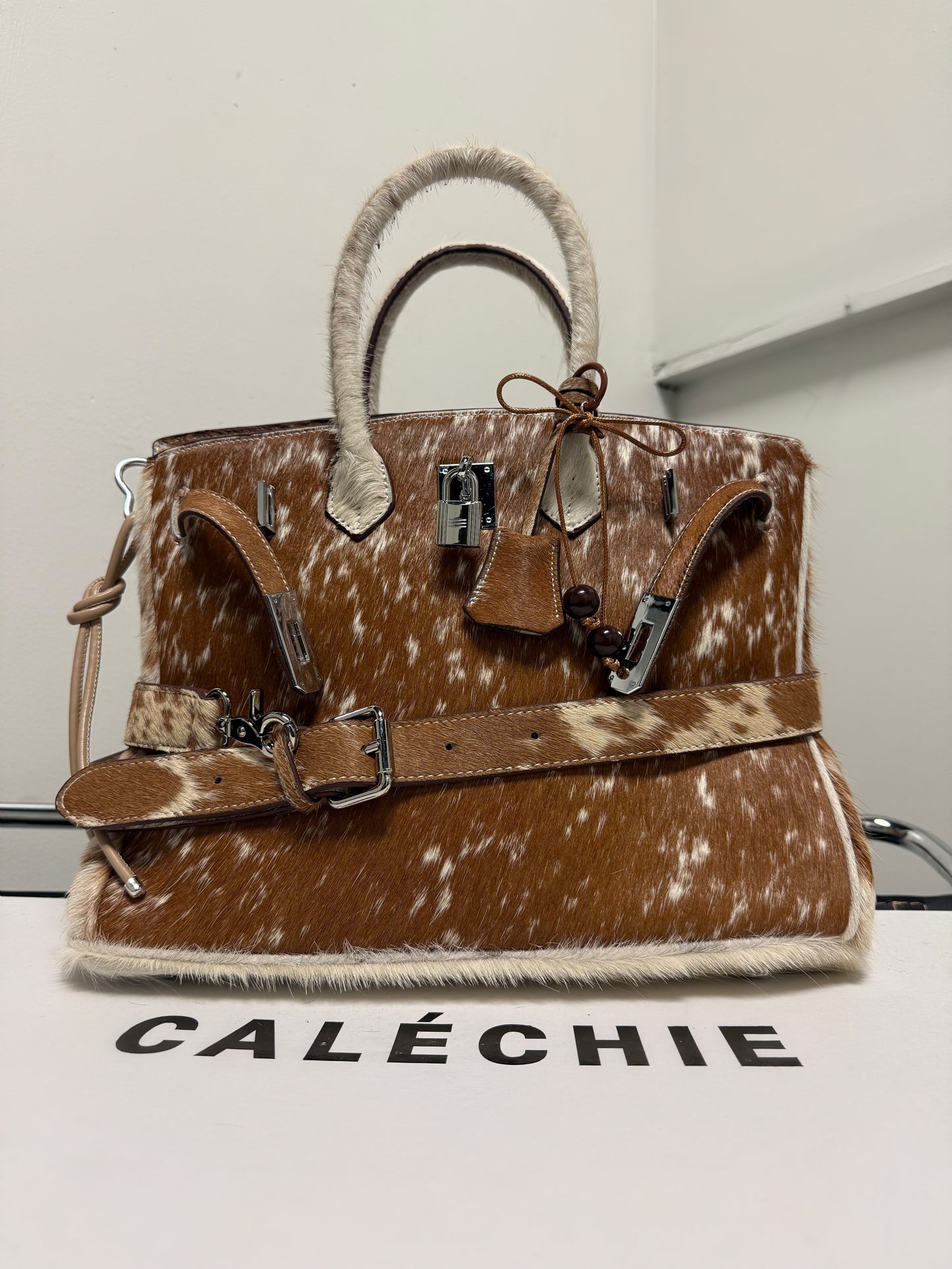 CALÉCHIE 35